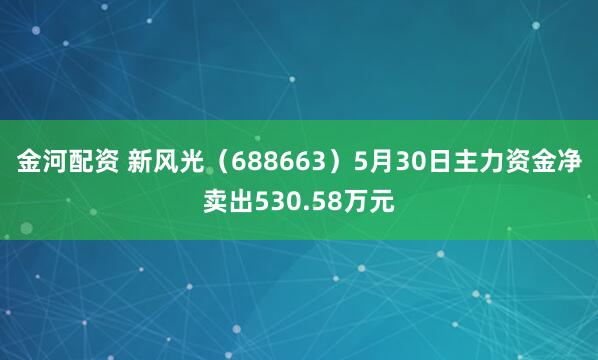 金河配资 新风光（688663）5月30日主力资金净卖出530.58万元
