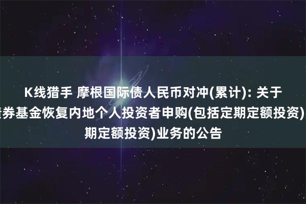 K线猎手 摩根国际债人民币对冲(累计): 关于摩根国际债券基金恢复内地个人投资者申购(包括定期定额投资)业务的公告