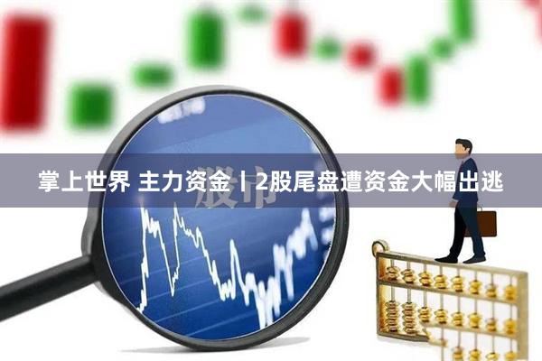 掌上世界 主力资金丨2股尾盘遭资金大幅出逃